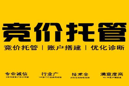 Sem优化公司成功案例：提升搜索引擎排名